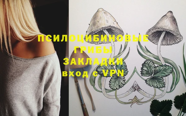 каннабис Покачи