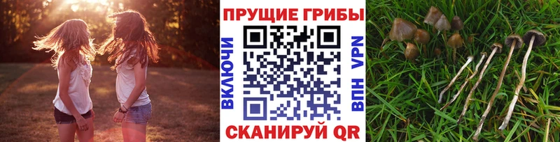 Галлюциногенные грибы Cubensis  Пермь 