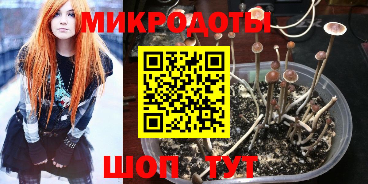 Галлюциногенные грибы Psilocybe  Вход с VPN  Пермь 